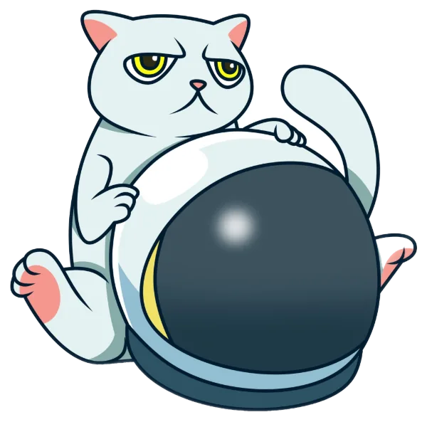 CAT TOKEN 11