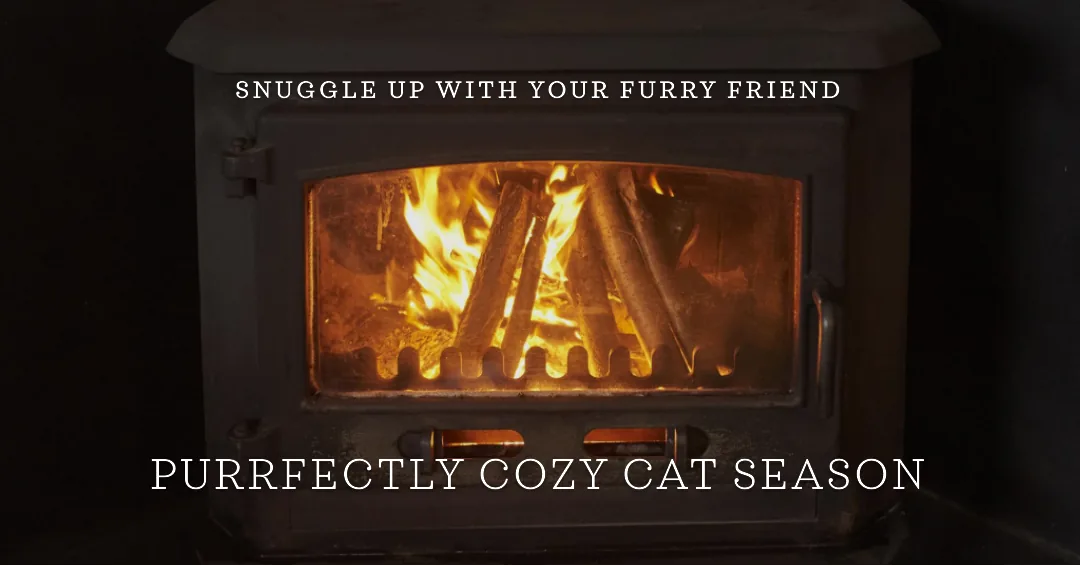 Cat season