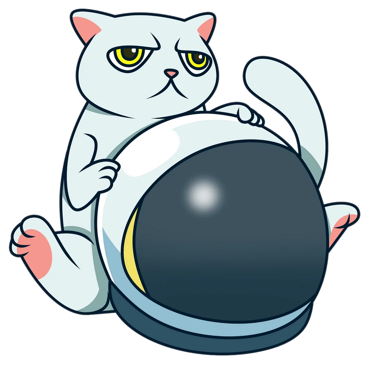 Cat Token 33333