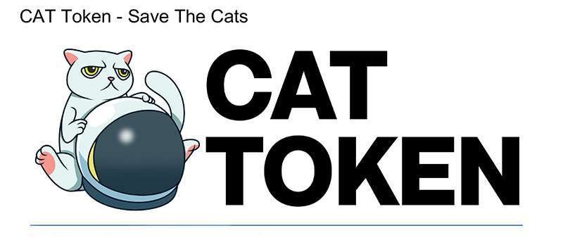 Cat Token 888