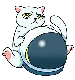Cat Token 999 art