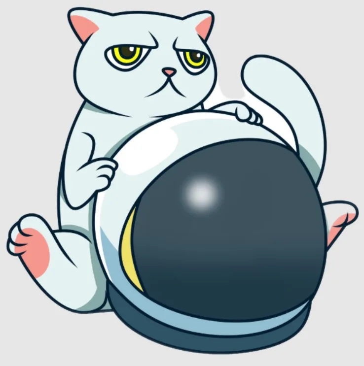Mooncat with astronaut helmet